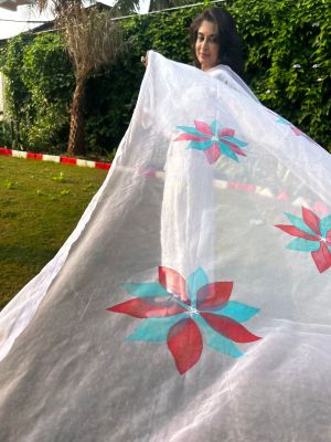Organza Dupatta Handpainted