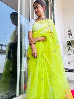 Organza Saree Handpainted Lemon green