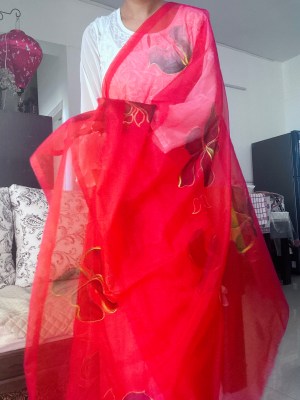Organza Dupatta Red