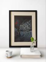 Black Swan Watercolor painting