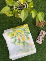 Organza Dupatta Hand painted White