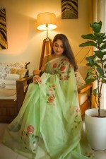 Organza Saree Hand painted Olive Green with Red Roses