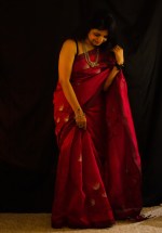 Mangalagiri Hand Painted Saree | Dark Red with Silver Flowers